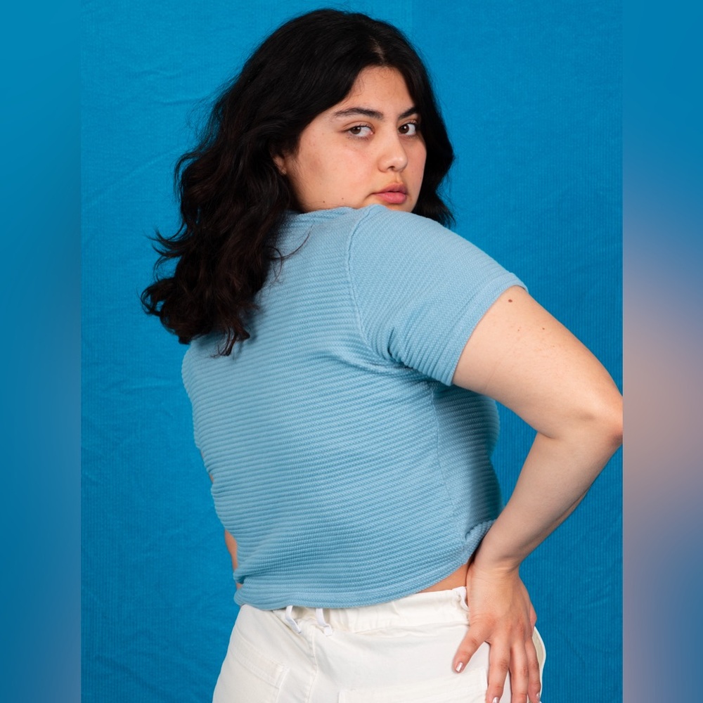 Big Bud Press Honeycomb Cropped Tee in Cornflower Blue